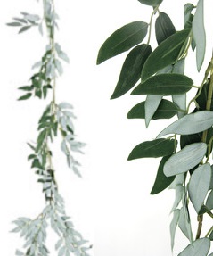 Eucalyptus Leaf Garland 