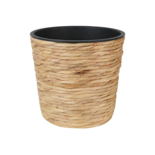 cane plant pot