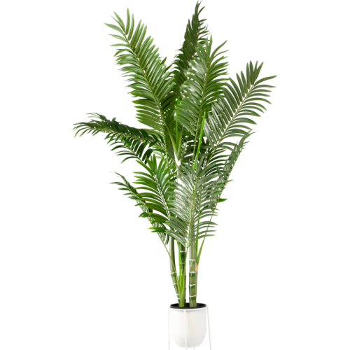 Bamboo Pot Plant 