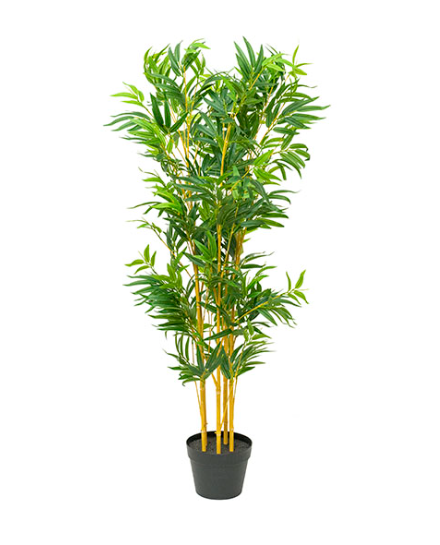 Bamboo Pot Plant  2