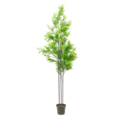 Bamboo Pot Plant  2