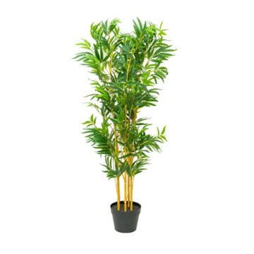 Bamboo Pot Plant  3