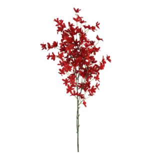 Oncidium Orchid Spray