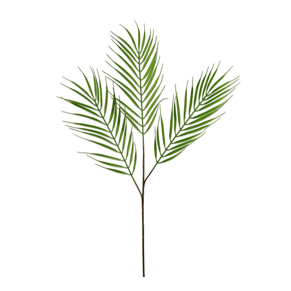 Palm Grass Leaf