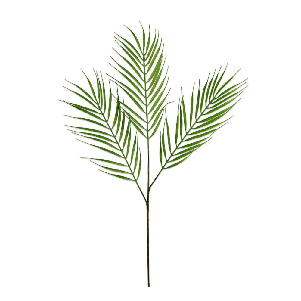 Palm Grass Leaf 