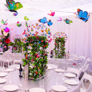 white velvet drape butterfly themed party