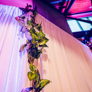 white velvet drape close up with vines