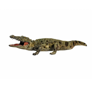 Crocodile Large Animal Prop