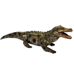 Animal Prop Crocodile