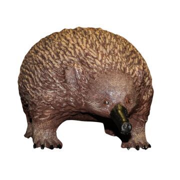 echidna prop hire