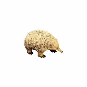 echidna prop hire