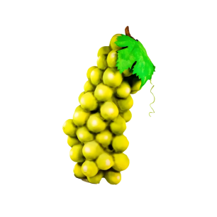 Grapes - Prop