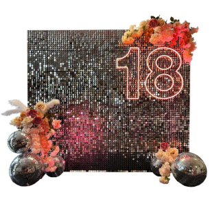 silver and peach sequin backdrop
