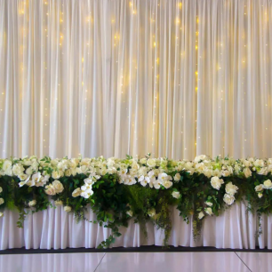 Fairy Light Backdrop