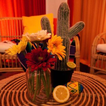 Cactus Plant  2