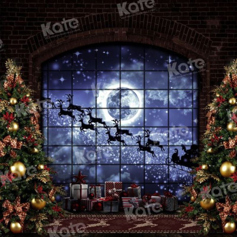 Standard Backdrop - Christmas Window