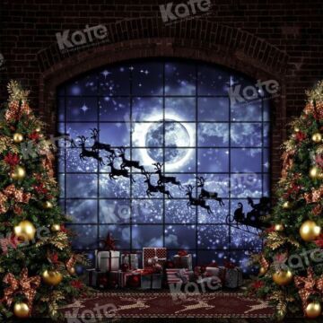 Christmas Reindeer Window Backdrop