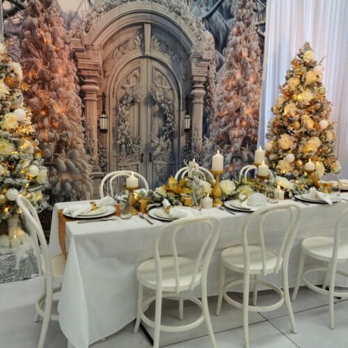 Winter christmas frosted door backdrop with white and gold table setting