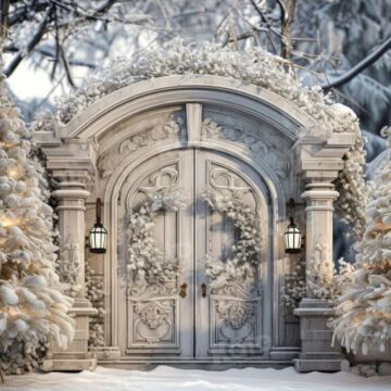 Winter christmas frosted door backdrop