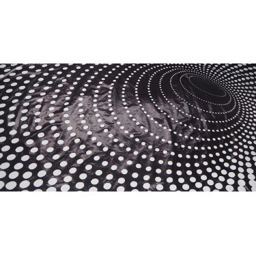 Themed Backdrops Large - Black & White Circles