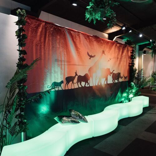 Lion king backdrop