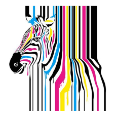 Standard Backdrop - Zebra w/Coloured Lines