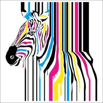 Coloured zebra backdrop