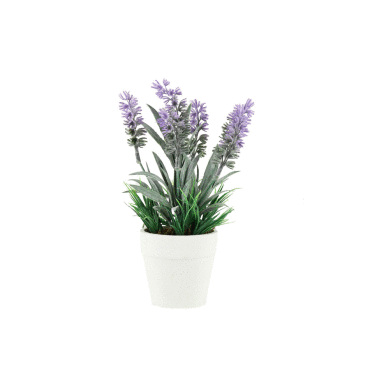 Lavender Pot