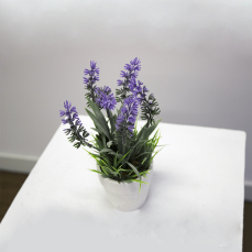 Lavender Pot 4