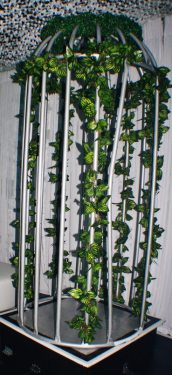 Jungle Vines Garland 3