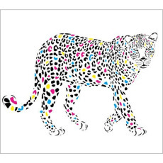 Standard Backdrop - Coloured Cheetah