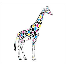 Standard Backdrop - Coloured Giraffe