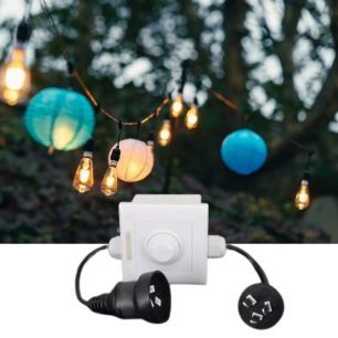 festoon light dimmer