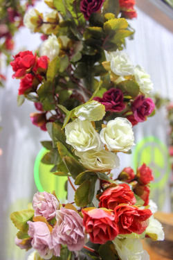 Rose Bud + Leaf Garland 3