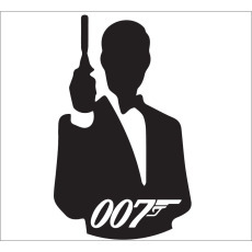 Standard Backdrop - 007 Silhouette (horizontal)