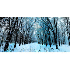 Themed Backdrops Large - Winter Wonderland