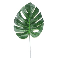 Monstera Palm Leaf