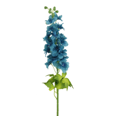 Delphinium Flower 4