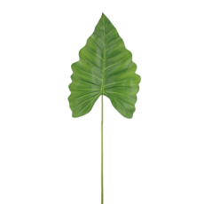 Calla Lily Leaf