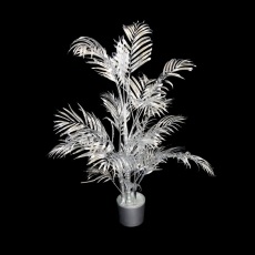 Silver Palm Pot Plant 2