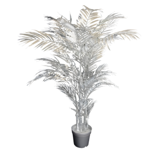 Silver Palm Pot Plant