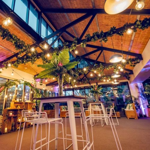 Wire White Stools at Melbourne Zoo for tropical themed event