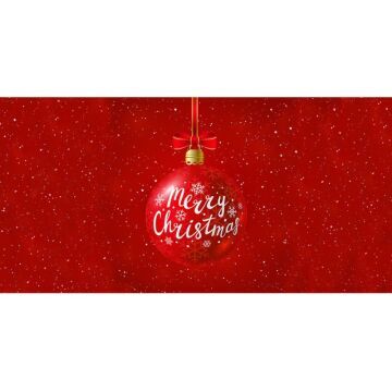 Merry Christmas Backdrop